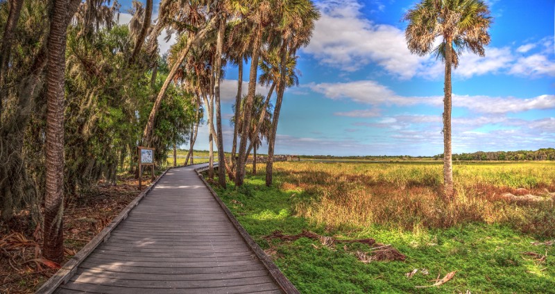 boardwalk bird watching